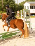 DSC03478 DSC03478