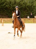DSC04917 DSC04917