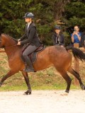 DSC05679 DSC05679