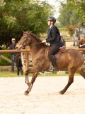 DSC06335 DSC06335