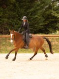 DSC05139 DSC05139