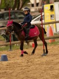DSC00868 DSC00868