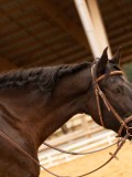 DSC07256 DSC07256