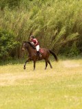 DSC01593 DSC01593