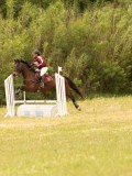 DSC01594 DSC01594