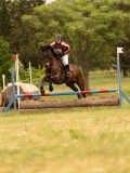 DSC01597 DSC01597