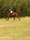 DSC01880