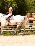 DSC01931 DSC01931