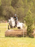 DSC02554 DSC02554