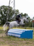 IMG_0287 IMG_0287