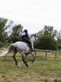 IMG_0288 IMG_0288