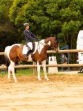 DSC05404 DSC05404