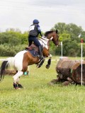 IMG_2117 IMG_2117