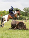 IMG_2118 IMG_2118