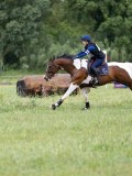 IMG_2122 IMG_2122