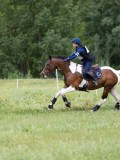 IMG_2124 IMG_2124