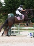 AP105882