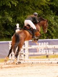 DSC01559 DSC01559