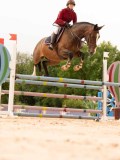 DSC03437 DSC03437