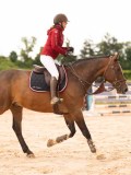 DSC03447 DSC03447