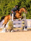 DSC03918 DSC03918