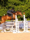 DSC03919 DSC03919
