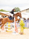 DSC05780 DSC05780
