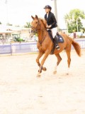 DSC05781 DSC05781