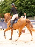 DSC05785 DSC05785