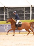 DSC05168 DSC05168