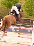 DSC05174 DSC05174