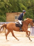 DSC05186 DSC05186