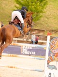 DSC08254 DSC08254