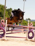 DSC03560 DSC03560