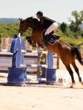 DSC03563 DSC03563