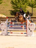 DSC03565 DSC03565