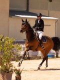 DSC03574 DSC03574