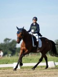 DSC06779 DSC06779