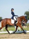 DSC06788 DSC06788