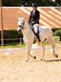 DSC04235 DSC04235