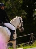 DSC04243 DSC04243