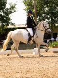 DSC04254 DSC04254