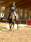 DSC04995 DSC04995