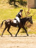 DSC06495 DSC06495