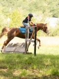 24_02487 24_02487