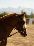 DSC05289 DSC05289