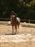 DSC05319 DSC05319