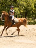 DSC06766 DSC06766