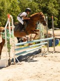 DSC06775 DSC06775