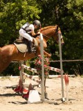 DSC06778 DSC06778